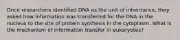 Once researchers identified DNA as the unit of inheritance, they asked how information was transferred for the DNA in the nucleus to the site of protein synthesis in the cytoplasm. What is the mechanism of information transfer in eukaryotes?