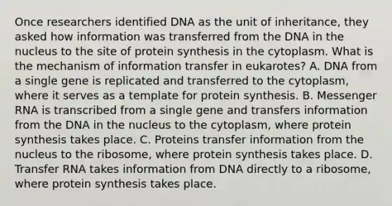 Once researchers identified DNA as the unit of inheritance, they asked how information was transferred from the DNA in the nucleus to the site of protein synthesis in the cytoplasm. What is the mechanism of information transfer in eukarotes? A. DNA from a single gene is replicated and transferred to the cytoplasm, where it serves as a template for protein synthesis. B. <a href='https://www.questionai.com/knowledge/kDttgcz0ig-messenger-rna' class='anchor-knowledge'>messenger rna</a> is transcribed from a single gene and transfers information from the DNA in the nucleus to the cytoplasm, where protein synthesis takes place. C. Proteins transfer information from the nucleus to the ribosome, where protein synthesis takes place. D. Transfer RNA takes information from DNA directly to a ribosome, where protein synthesis takes place.