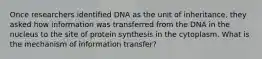 Once researchers identified DNA as the unit of inheritance, they asked how information was transferred from the DNA in the nucleus to the site of protein synthesis in the cytoplasm. What is the mechanism of information transfer?