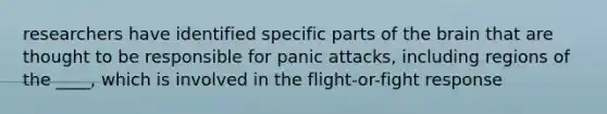 researchers have identified specific parts of the brain that are thought to be responsible for panic attacks, including regions of the ____, which is involved in the flight-or-fight response