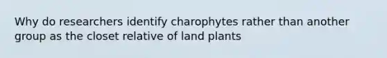 Why do researchers identify charophytes rather than another group as the closet relative of land plants