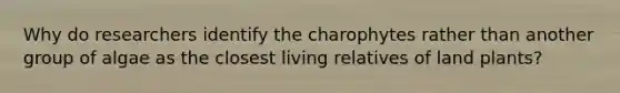 Why do researchers identify the charophytes rather than another group of algae as the closest living relatives of land plants?