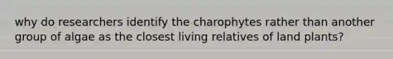 why do researchers identify the charophytes rather than another group of algae as the closest living relatives of land plants?