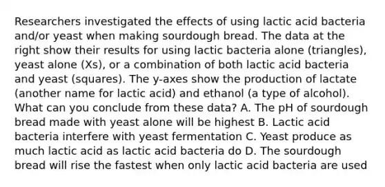 Researchers investigated the effects of using lactic acid bacteria and/or yeast when making sourdough bread. The data at the right show their results for using lactic bacteria alone (triangles), yeast alone (Xs), or a combination of both lactic acid bacteria and yeast (squares). The y-axes show the production of lactate (another name for lactic acid) and ethanol (a type of alcohol). What can you conclude from these data? A. The pH of sourdough bread made with yeast alone will be highest B. Lactic acid bacteria interfere with yeast fermentation C. Yeast produce as much lactic acid as lactic acid bacteria do D. The sourdough bread will rise the fastest when only lactic acid bacteria are used