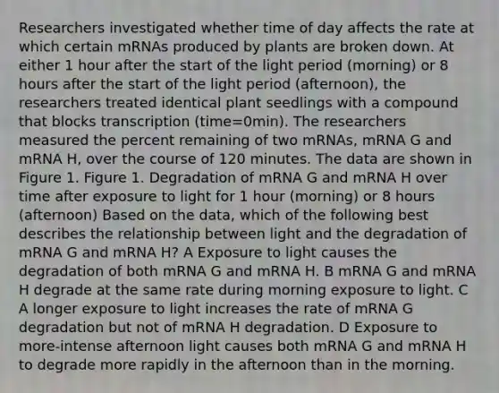 Researchers investigated whether time of day affects the rate at which certain mRNAs produced by plants are broken down. At either 1 hour after the start of the light period (morning) or 8 hours after the start of the light period (afternoon), the researchers treated identical plant seedlings with a compound that blocks transcription (time=⁢0⁢⁢min). The researchers measured the percent remaining of two mRNAs, mRNA G and mRNA H, over the course of 120 minutes. The data are shown in Figure 1. Figure 1. Degradation of mRNA G and mRNA H over time after exposure to light for 1 hour (morning) or 8 hours (afternoon) Based on the data, which of the following best describes the relationship between light and the degradation of mRNA G and mRNA H? A Exposure to light causes the degradation of both mRNA G and mRNA H. B mRNA G and mRNA H degrade at the same rate during morning exposure to light. C A longer exposure to light increases the rate of mRNA G degradation but not of mRNA H degradation. D Exposure to more-intense afternoon light causes both mRNA G and mRNA H to degrade more rapidly in the afternoon than in the morning.