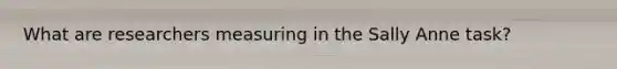 What are researchers measuring in the Sally Anne task?