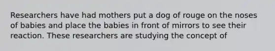 Researchers have had mothers put a dog of rouge on the noses of babies and place the babies in front of mirrors to see their reaction. These researchers are studying the concept of