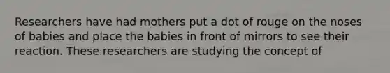 Researchers have had mothers put a dot of rouge on the noses of babies and place the babies in front of mirrors to see their reaction. These researchers are studying the concept of