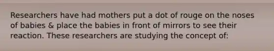 Researchers have had mothers put a dot of rouge on the noses of babies & place the babies in front of mirrors to see their reaction. These researchers are studying the concept of: