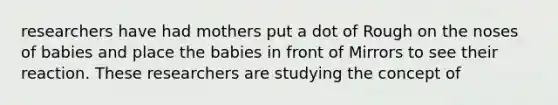 researchers have had mothers put a dot of Rough on the noses of babies and place the babies in front of Mirrors to see their reaction. These researchers are studying the concept of