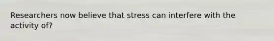 Researchers now believe that stress can interfere with the activity of?