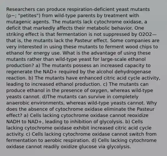 Researchers can produce respiration‑deficient yeast mutants (p−; "petites") from wild‑type parents by treatment with mutagenic agents. The mutants lack cytochrome oxidase, a deficit that markedly affects their metabolic behavior. One striking effect is that fermentation is not suppressed by O2O2—that is, the mutants lack the Pasteur effect. Some companies are very interested in using these mutants to ferment wood chips to ethanol for energy use. What is the advantage of using these mutants rather than wild‑type yeast for large‑scale ethanol production? a) The mutants possess an increased capacity to regenerate the NAD+ required by the alcohol dehydrogenase reaction. b) The mutants have enhanced citric acid cycle activity, leading to increased ethanol production. c) The mutants can produce ethanol in the presence of oxygen, whereas wild‑type yeasts cannot. d)The mutants can survive in completely anaerobic environments, whereas wild‑type yeasts cannot. Why does the absence of cytochrome oxidase eliminate the Pasteur effect? a) Cells lacking cytochrome oxidase cannot reoxidize NADH to NAD+, leading to inhibition of glycolysis. b) Cells lacking cytochrome oxidase exhibit increased citric acid cycle activity. c) Cells lacking cytochrome oxidase cannot switch from fermentation to aerobic respiration. d) Cells lacking cytochrome oxidase cannot readily oxidize glucose via glycolysis.