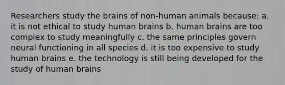 Researchers study the brains of non-human animals because: a. it is not ethical to study human brains b. human brains are too complex to study meaningfully c. the same principles govern neural functioning in all species d. it is too expensive to study human brains e. the technology is still being developed for the study of human brains