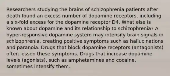 Researchers studying the brains of schizophrenia patients after death found an excess number of dopamine receptors, including a six-fold excess for the dopamine receptor D4. What else is known about dopamine and its relationship to schizophrenia? A hyper-responsive dopamine system may intensify brain signals in schizophrenia, creating positive symptoms such as hallucinations and paranoia. Drugs that block dopamine receptors (antagonists) often lessen these symptoms. Drugs that increase dopamine levels (agonists), such as amphetamines and cocaine, sometimes intensify them.