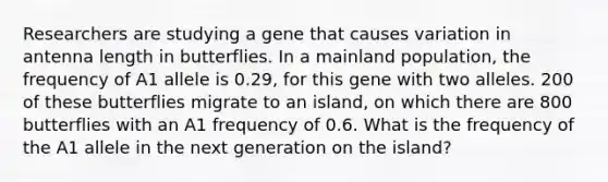 Researchers are studying a gene that causes variation in antenna length in butterflies. In a mainland population, the frequency of A1 allele is 0.29, for this gene with two alleles. 200 of these butterflies migrate to an island, on which there are 800 butterflies with an A1 frequency of 0.6. What is the frequency of the A1 allele in the next generation on the island?