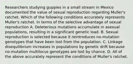 Researchers studying guppies in a small stream in Mexico documented the value of sexual reproduction regarding Muller's ratchet. Which of the following conditions accurately represents Muller's ratchet. In terms of the selective advantage of sexual reproduction A. Deleterious mutations accumulate in asexual populations, resulting in a significant genetic load. B. Sexual reproduction is selected because it reintroduces no-mutation genotypes that have been lost from the population. C. Linkage disequilibrium increases in populations by genetic drift because no-mutation multilocus genotypes are lost by chance. D. All of the above accurately represent the conditions of Muller's ratchet.