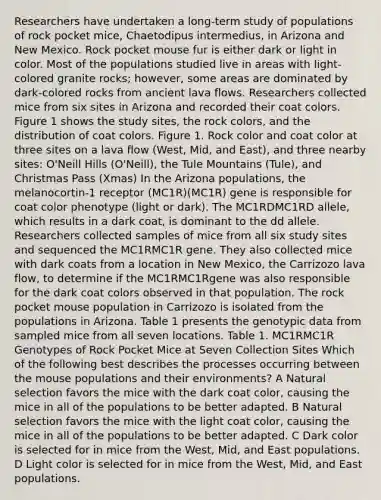 Researchers have undertaken a long-term study of populations of rock pocket mice, Chaetodipus intermedius, in Arizona and New Mexico. Rock pocket mouse fur is either dark or light in color. Most of the populations studied live in areas with light-colored granite rocks; however, some areas are dominated by dark-colored rocks from ancient lava flows. Researchers collected mice from six sites in Arizona and recorded their coat colors. Figure 1 shows the study sites, the rock colors, and the distribution of coat colors. Figure 1. Rock color and coat color at three sites on a lava flow (West, Mid, and East), and three nearby sites: O'Neill Hills (O'Neill), the Tule Mountains (Tule), and Christmas Pass (Xmas) In the Arizona populations, the melanocortin-1 receptor (MC1R)(MC1R) gene is responsible for coat color phenotype (light or dark). The MC1RDMC1R⁢D allele, which results in a dark coat, is dominant to the dd allele. Researchers collected samples of mice from all six study sites and sequenced the MC1RMC1R gene. They also collected mice with dark coats from a location in New Mexico, the Carrizozo lava flow, to determine if the MC1RMC1Rgene was also responsible for the dark coat colors observed in that population. The rock pocket mouse population in Carrizozo is isolated from the populations in Arizona. Table 1 presents the genotypic data from sampled mice from all seven locations. Table 1. MC1RMC1R Genotypes of Rock Pocket Mice at Seven Collection Sites Which of the following best describes the processes occurring between the mouse populations and their environments? A Natural selection favors the mice with the dark coat color, causing the mice in all of the populations to be better adapted. B Natural selection favors the mice with the light coat color, causing the mice in all of the populations to be better adapted. C Dark color is selected for in mice from the West, Mid, and East populations. D Light color is selected for in mice from the West, Mid, and East populations.