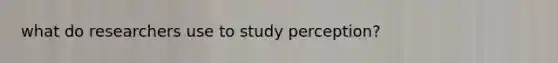 what do researchers use to study perception?