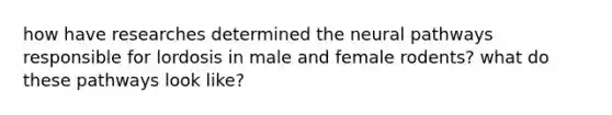 how have researches determined the neural pathways responsible for lordosis in male and female rodents? what do these pathways look like?