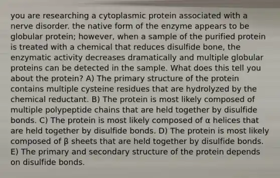 you are researching a cytoplasmic protein associated with a nerve disorder. the native form of the enzyme appears to be globular protein; however, when a sample of the purified protein is treated with a chemical that reduces disulfide bone, the enzymatic activity decreases dramatically and multiple globular proteins can be detected in the sample. What does this tell you about the protein? A) The primary structure of the protein contains multiple cysteine residues that are hydrolyzed by the chemical reductant. B) The protein is most likely composed of multiple polypeptide chains that are held together by disulfide bonds. C) The protein is most likely composed of α helices that are held together by disulfide bonds. D) The protein is most likely composed of β sheets that are held together by disulfide bonds. E) The primary and secondary structure of the protein depends on disulfide bonds.