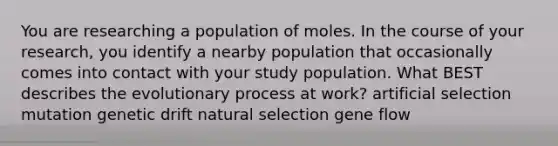 You are researching a population of moles. In the course of your research, you identify a nearby population that occasionally comes into contact with your study population. What BEST describes the evolutionary process at work? artificial selection mutation genetic drift natural selection gene flow