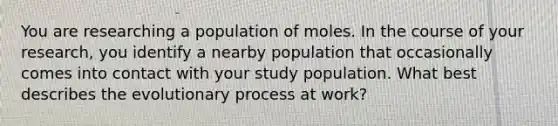 You are researching a population of moles. In the course of your research, you identify a nearby population that occasionally comes into contact with your study population. What best describes the evolutionary process at work?