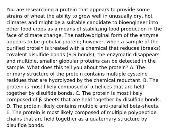 You are researching a protein that appears to provide some strains of wheat the ability to grow well in unusually dry, hot climates and might be a suitable candidate to bioengineer into other food crops as a means of stabilizing food production in the face of climate change. The native/original form of the enzyme appears to be globular protein; however, when a sample of the purified protein is treated with a chemical that reduces (breaks) covalent disulfide bonds (S-S bonds), the enzymatic disappears and multiple, smaller globular proteins can be detected in the sample. What does this tell you about the protein? A. The primary structure of the protein contains multiple cysteine residues that are hydrolyzed by the chemical reductant. B. The protein is most likely composed of α helices that are held together by disulfide bonds. C. The protein is most likely composed of β sheets that are held together by disulfide bonds. D. The protein likely contains multiple anti-parallel beta-sheets. E. The protein is most likely composed of multiple polypeptide chains that are held together as a quaternary structure by disulfide bonds.