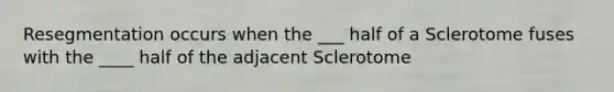 Resegmentation occurs when the ___ half of a Sclerotome fuses with the ____ half of the adjacent Sclerotome