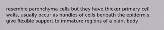 resemble parenchyma cells but they have thicker primary cell walls, usually occur as bundles of cells beneath the epidermis, give flexible support to immature regions of a plant body