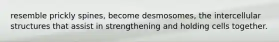 resemble prickly spines, become desmosomes, the intercellular structures that assist in strengthening and holding cells together.