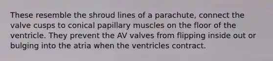 These resemble the shroud lines of a parachute, connect the valve cusps to conical papillary muscles on the floor of the ventricle. They prevent the AV valves from flipping inside out or bulging into the atria when the ventricles contract.