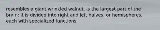 resembles a giant wrinkled walnut, is the largest part of the brain; it is divided into right and left halves, or hemispheres, each with specialized functions