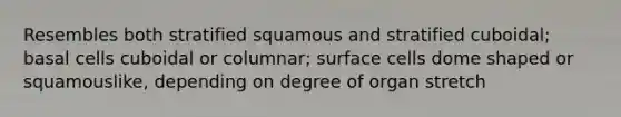 Resembles both stratified squamous and stratified cuboidal; basal cells cuboidal or columnar; surface cells dome shaped or squamouslike, depending on degree of organ stretch