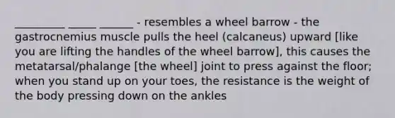 _________ _____ ______ - resembles a wheel barrow - the gastrocnemius muscle pulls the heel (calcaneus) upward [like you are lifting the handles of the wheel barrow], this causes the metatarsal/phalange [the wheel] joint to press against the floor; when you stand up on your toes, the resistance is the weight of the body pressing down on the ankles