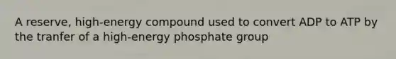 A reserve, high-energy compound used to convert ADP to ATP by the tranfer of a high-energy phosphate group