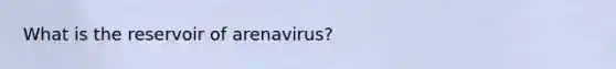 What is the reservoir of arenavirus?