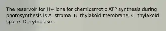 The reservoir for H+ ions for chemiosmotic ATP synthesis during photosynthesis is A. stroma. B. thylakoid membrane. C. thylakoid space. D. cytoplasm.