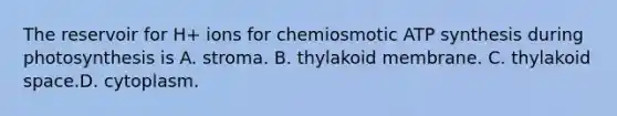 The reservoir for H+ ions for chemiosmotic <a href='https://www.questionai.com/knowledge/kx3XpCJrFz-atp-synthesis' class='anchor-knowledge'>atp synthesis</a> during photosynthesis is A. stroma. B. thylakoid membrane. C. thylakoid space.D. cytoplasm.