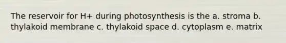 The reservoir for H+ during photosynthesis is the a. stroma b. thylakoid membrane c. thylakoid space d. cytoplasm e. matrix