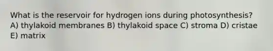 What is the reservoir for hydrogen ions during photosynthesis? A) thylakoid membranes B) thylakoid space C) stroma D) cristae E) matrix