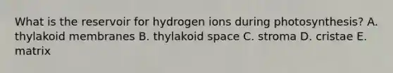 What is the reservoir for hydrogen ions during photosynthesis? A. thylakoid membranes B. thylakoid space C. stroma D. cristae E. matrix