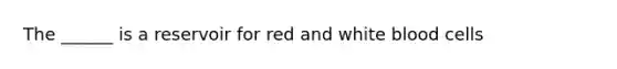 The ______ is a reservoir for red and white blood cells