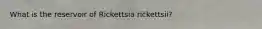 What is the reservoir of Rickettsia rickettsii?