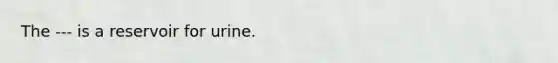 The --- is a reservoir for urine.