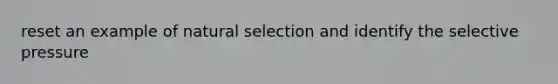 reset an example of natural selection and identify the selective pressure