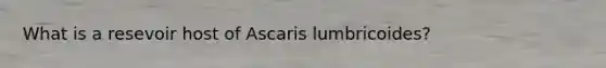 What is a resevoir host of Ascaris lumbricoides?