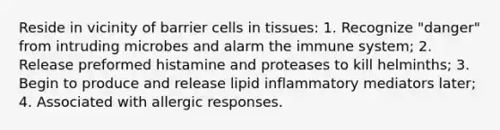 Reside in vicinity of barrier cells in tissues: 1. Recognize "danger" from intruding microbes and alarm the immune system; 2. Release preformed histamine and proteases to kill helminths; 3. Begin to produce and release lipid inflammatory mediators later; 4. Associated with allergic responses.