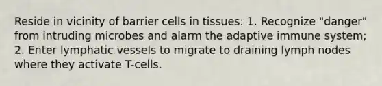 Reside in vicinity of barrier cells in tissues: 1. Recognize "danger" from intruding microbes and alarm the adaptive immune system; 2. Enter lymphatic vessels to migrate to draining lymph nodes where they activate T-cells.