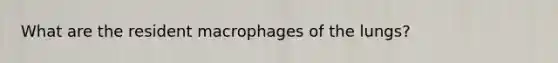 What are the resident macrophages of the lungs?