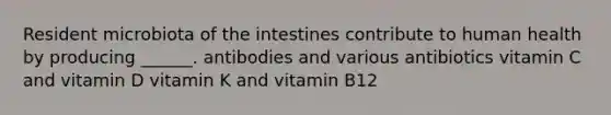 Resident microbiota of the intestines contribute to human health by producing ______. antibodies and various antibiotics vitamin C and vitamin D vitamin K and vitamin B12